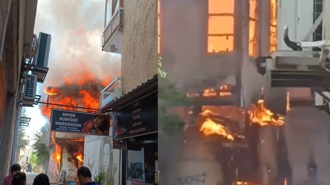 Küle dönen evde 6 yavrusunu arıyor 5